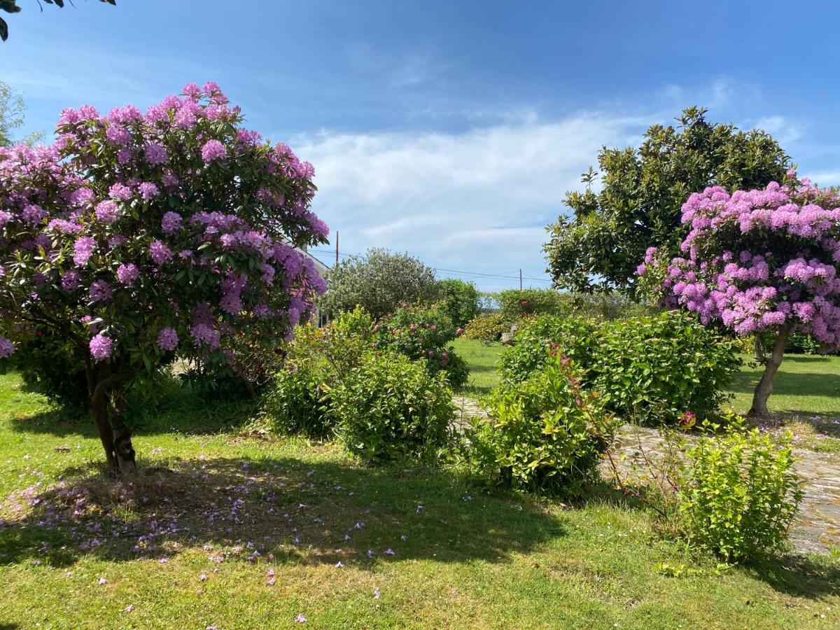Casa Quintana Villa Salamir Dış mekan fotoğraf