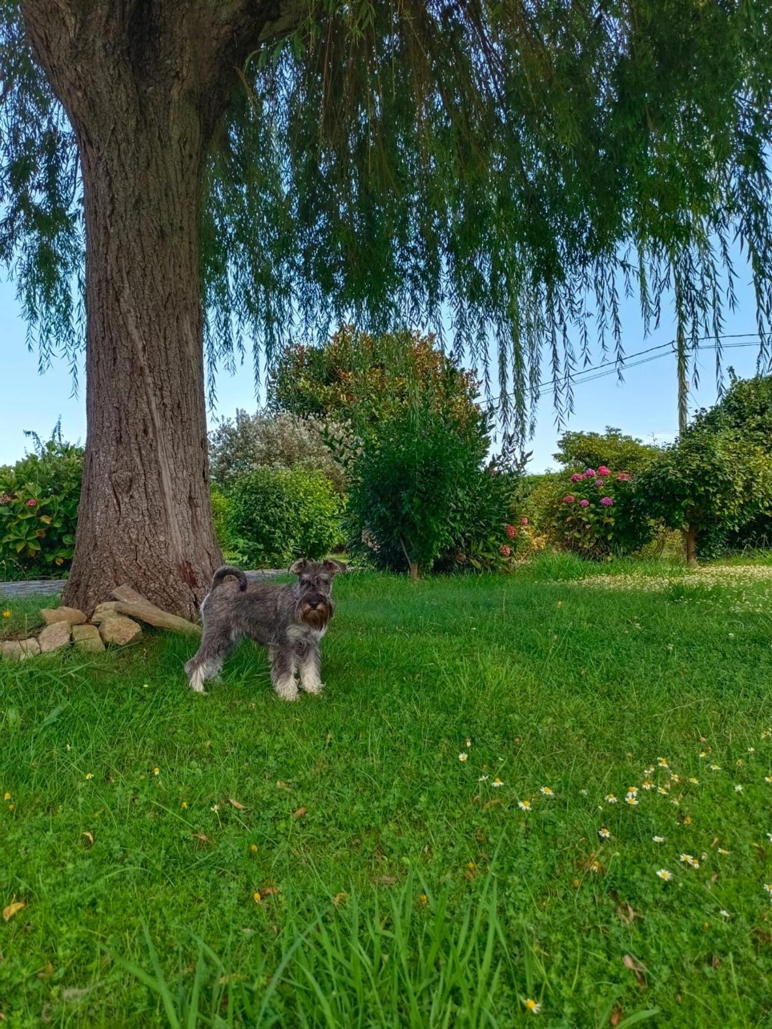 Casa Quintana Villa Salamir Dış mekan fotoğraf
